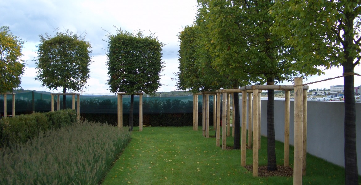 SICHTSCHUTZ NACH MA MIT SEN visual data 3