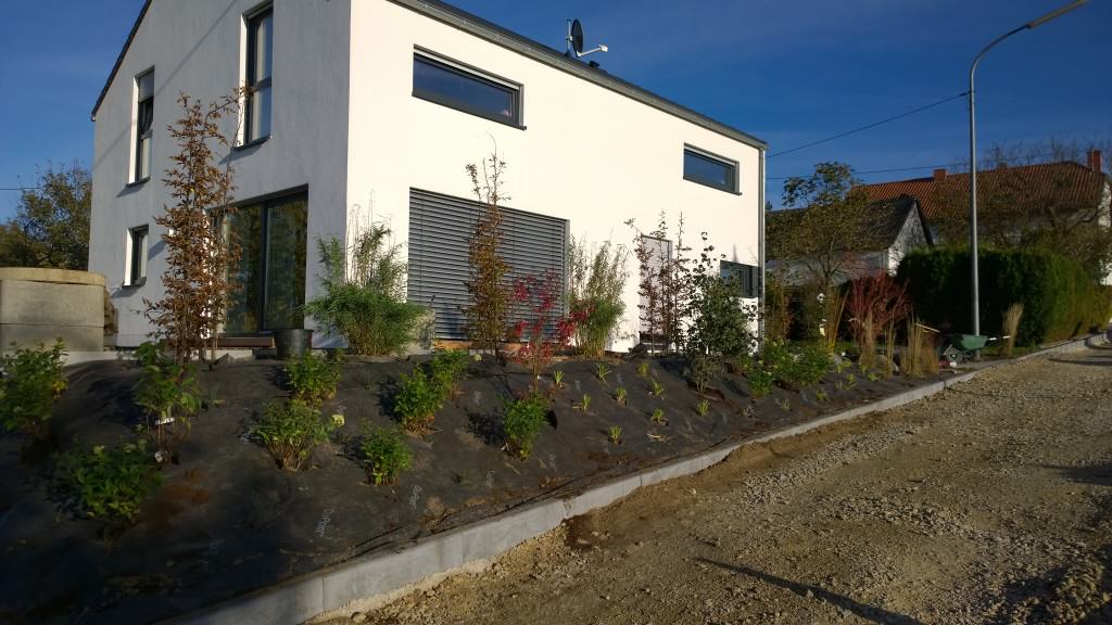 Terrasse mit grünem Sichtschutzkonzept