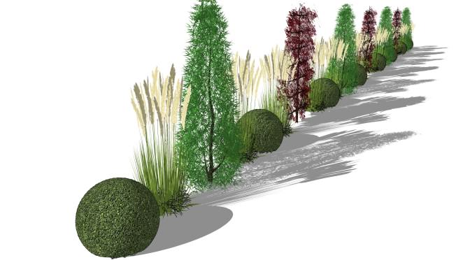 Sichtschutzkombinationen – Teil 1: Säulenbäume, Heckenelemente, Gräser und Buchskugeln
