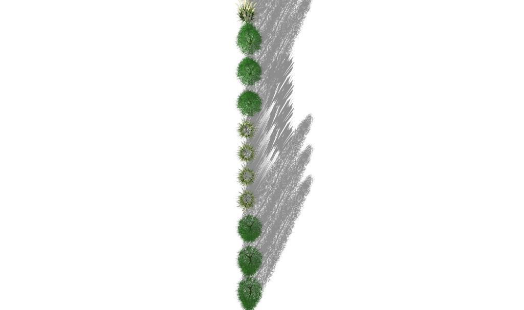 Sichtschutzkombinationen Teil 2 - Säulenbäume und Gräserhecken