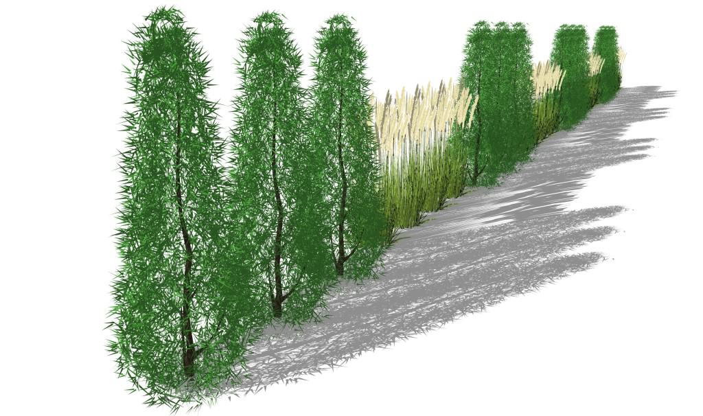Sichtschutzkombinationen Teil 2 - Säulembäume und Gräserhecke