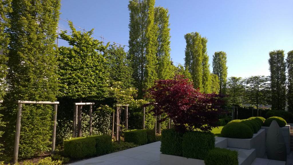 Sichtschutz-HPL, Hecke-am-laufenden-Meter, Spalierbäume und kastenförmig geschnittene Säulenbäume Quelle: Pol Winandy Jardins